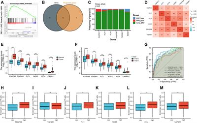 Apoptosis-Related Gene-Mediated Cell Death Pattern Induces Immunosuppression and Immunotherapy Resistance in Gastric Cancer